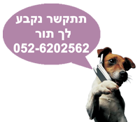 תתקשר לתספורת כלבים